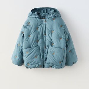 Zara Embroiled Quilted Jacket